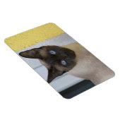 Mooi zegel, Siamese kat Magneet (Rechterzijde)