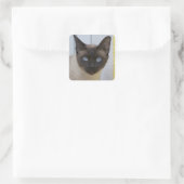 Mooi zegel, Siamese kat Vierkante Sticker (Tas)