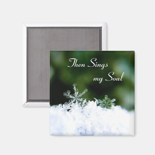 Mooi zingt mijn Soul Winter Snowflake Magnet Magneet (Voorkant / Achterkant)