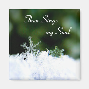 Mooi zingt mijn Soul Winter Snowflake Magnet Magneet