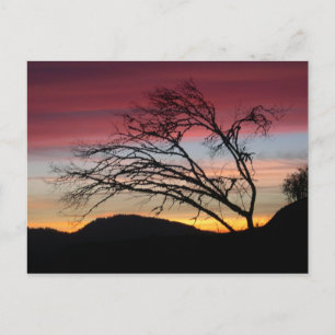 Mooi zonsondergangbriefkaart briefkaart