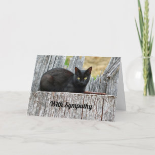 Mooi zwart kattenlogfoto sympathie kaart