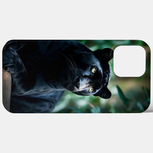 Mooi zwart panter Case-Mate iPhone case (Achterkant (horizontaal))