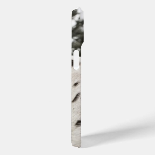 Mooi zwart-wit Appaloosa Paard, Western Case-Mate iPhone Case (Achterkant / Rechts)