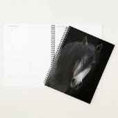 Mooi zwart-wit paard planner (Display)