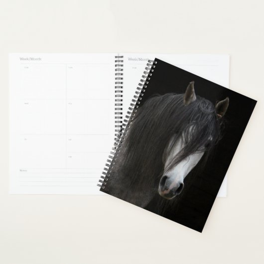 Mooi zwart-wit paard planner (Display)