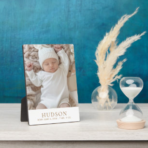 Mooie Aangepaste Babyfoto Geboorte Stats Fotoplaat