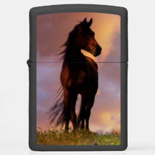 Mooie aansteker voor paarden