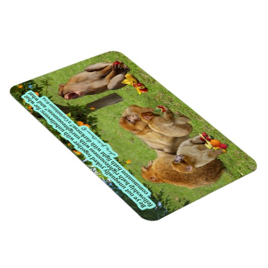 Mooie Aap Schrift 2 Korintiërs 6:14 Magneet (Rechterzijde)