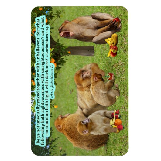 Mooie Aap Schrift 2 Korintiërs 6:14 Magneet (Verticaal)