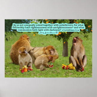 Mooie Aap Schrift 2 Korintiërs 6:14 Poster
