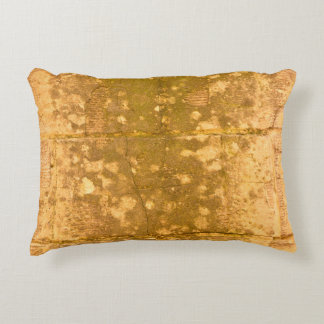 Mooie achtergrond. Abstracte grunge deco Accent Kussen
