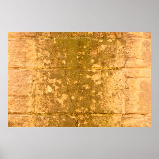 Mooie achtergrond. Abstracte grunge deco Poster (Voorkant)