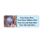 Mooie achtertuin vogels - Retouradreslabels Etiket (Voorkant)