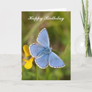 Mooie "Adonis Blue vlinder Birthday"-kaart Kaart