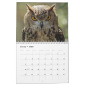 Mooie Afbeeldingen en Afbeeldingen van Owl 2016 Kalender (Jan 2026)