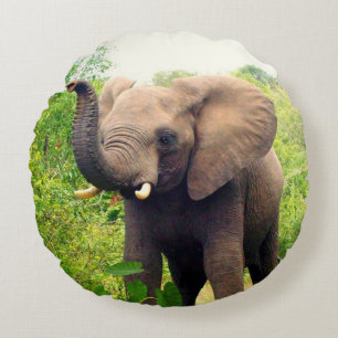 Mooie Afrikaanse Olifant & Tropische Planten Rond Kussen