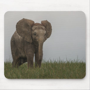 Mooie Afrikaanse Struik olifant Muismat