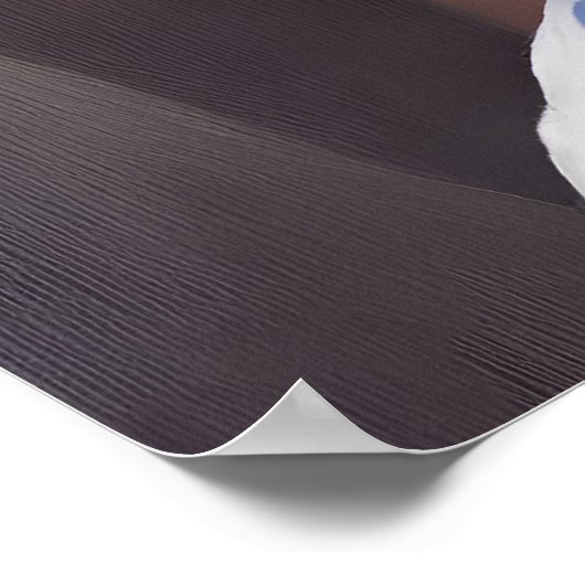 Mooie Afrikaanse vrouw Poster (Hoek)