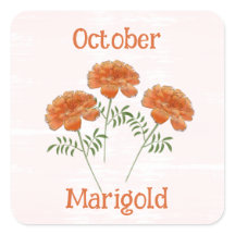 Mooie Afrikool Bloemen Oktober