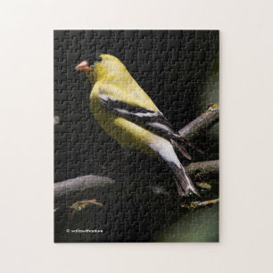 Mooie Amerikaanse Goldfinch Legpuzzel