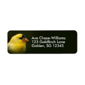 Mooie Amerikaanse Goldfinch Songbird Etiket (Voorkant)