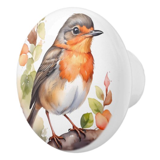 Mooie Amerikaanse Robin Bird Waterverf Keramische Knop (Rechts)