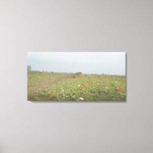 Mooie Amish Pompoenboerderij in het Midwestse plat Canvas Afdruk