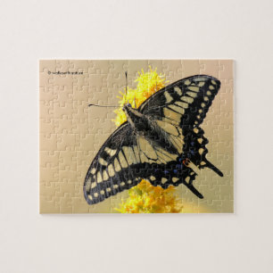 Mooie Anise Swallowtail Butterfly in the Sun Legpuzzel
