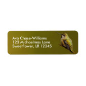 Mooie Anna's Hummingbird op Trumpetvine Branch Etiket (Voorkant)