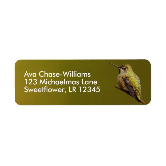 Mooie Anna's Hummingbird op Trumpetvine Branch Etiket (Voorkant)