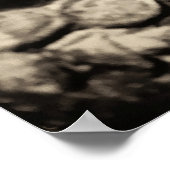 Mooie Apsaras Poster (Hoek)