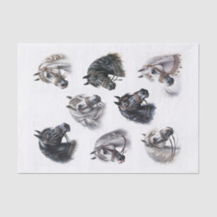 Mooie Arabische paarden met Fancy Bridles Tissuepapier