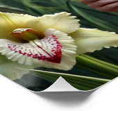 Mooie August Fairy in Gladioli Perfect Poster (Hoek)