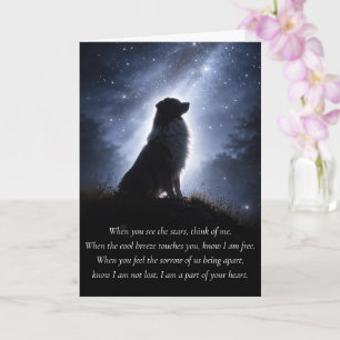 Mooie Australian Shepard Aussie condoleance Kaart
