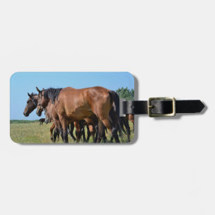 Mooie Baard Merries Bagagelabel
