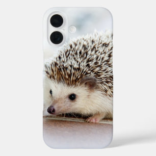 Mooie baby egel foto iPhone 16 hoesje