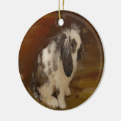 Mooie Baby konijn/kit Keramisch Ornament (Links)