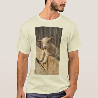 Mooie babyschapen Rustieke boerderij fotografie ca T-shirt