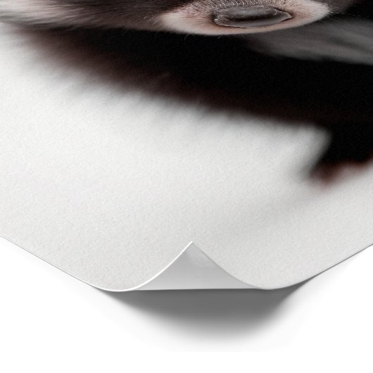 Mooie babyskonkportret | Vierkante 1:1 poster (Hoek)