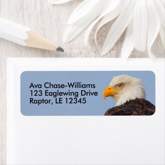 Mooie Bald Eagle Bird of Prey in Tree Etiket (Insitu)