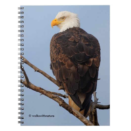 Mooie Bald Eagle in een boom Notitieboek (Voorkant)