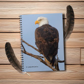 Mooie Bald Eagle in een boom Notitieboek