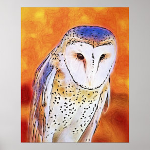 Mooie Barn Owl Bird met wit gezicht Poster