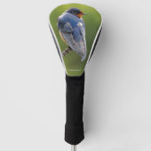 Mooie Barn Swallow op een Branch Golfheadcover (Voorkant)