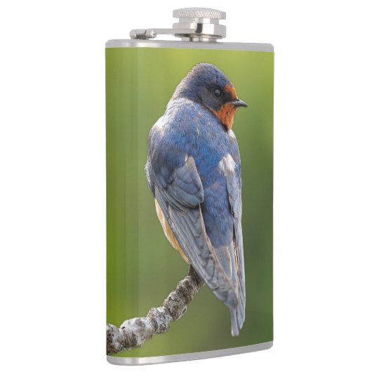 Mooie Barn Swallow op een Branch Heupfles (Rechts)