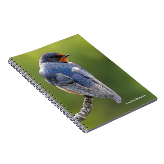 Mooie Barn Swallow op een Branch Notitieboek (Rechterzijde)
