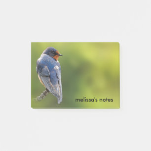 Mooie Barn Swallow op een Branch Post-it® Notes