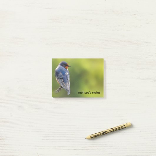 Mooie Barn Swallow op een Branch Post-it® Notes (Op bureau)