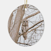 Mooie Barred Owl Audubon kerst Keramisch Ornament (Links)